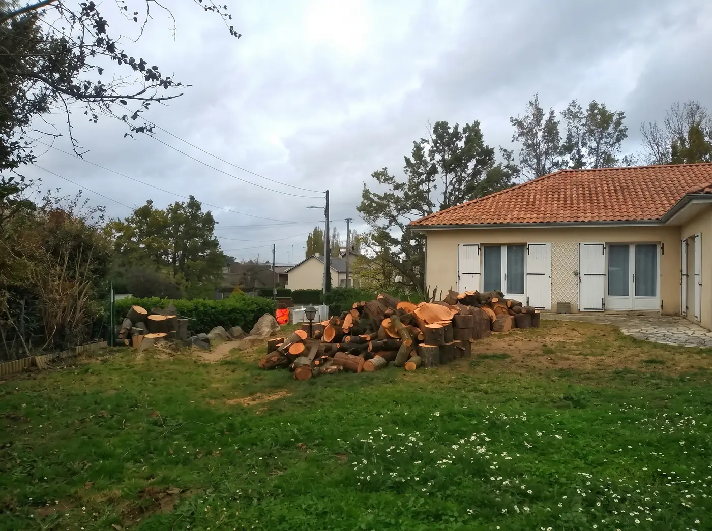 Après : Abattage d'un arbre devenu dangereux